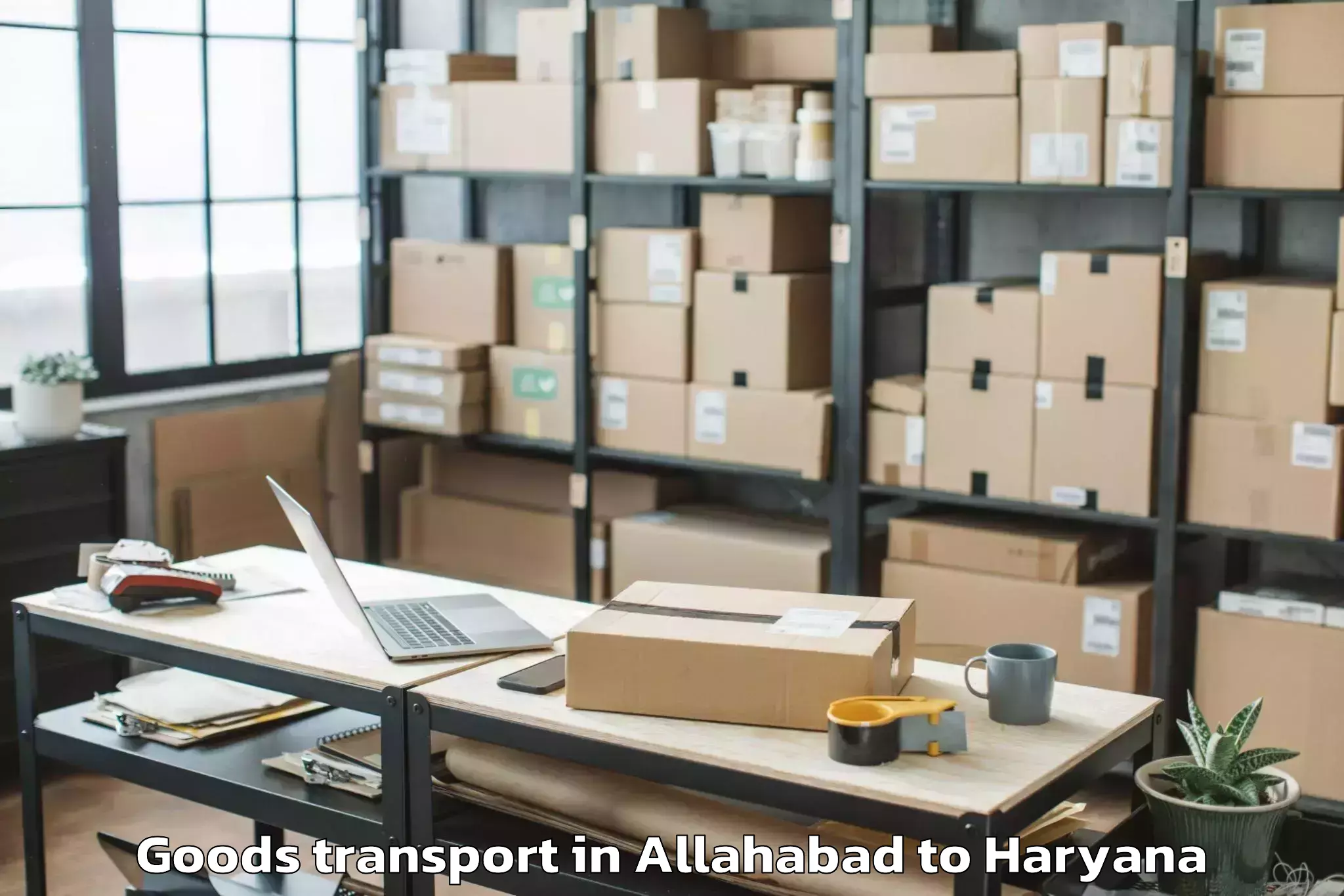 Affordable Allahabad to Ambience Mall Gurgaon Goods Transport